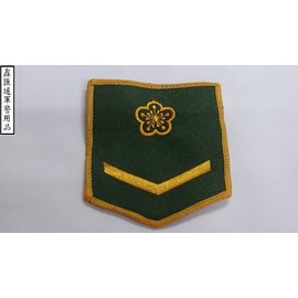 陸軍綠底黃邊臂章-二兵