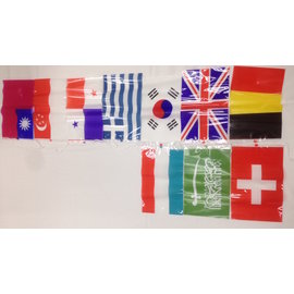 萬國旗(一包)（塑膠材質）10國家的國旗